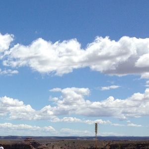 Meet your Posher, Candice